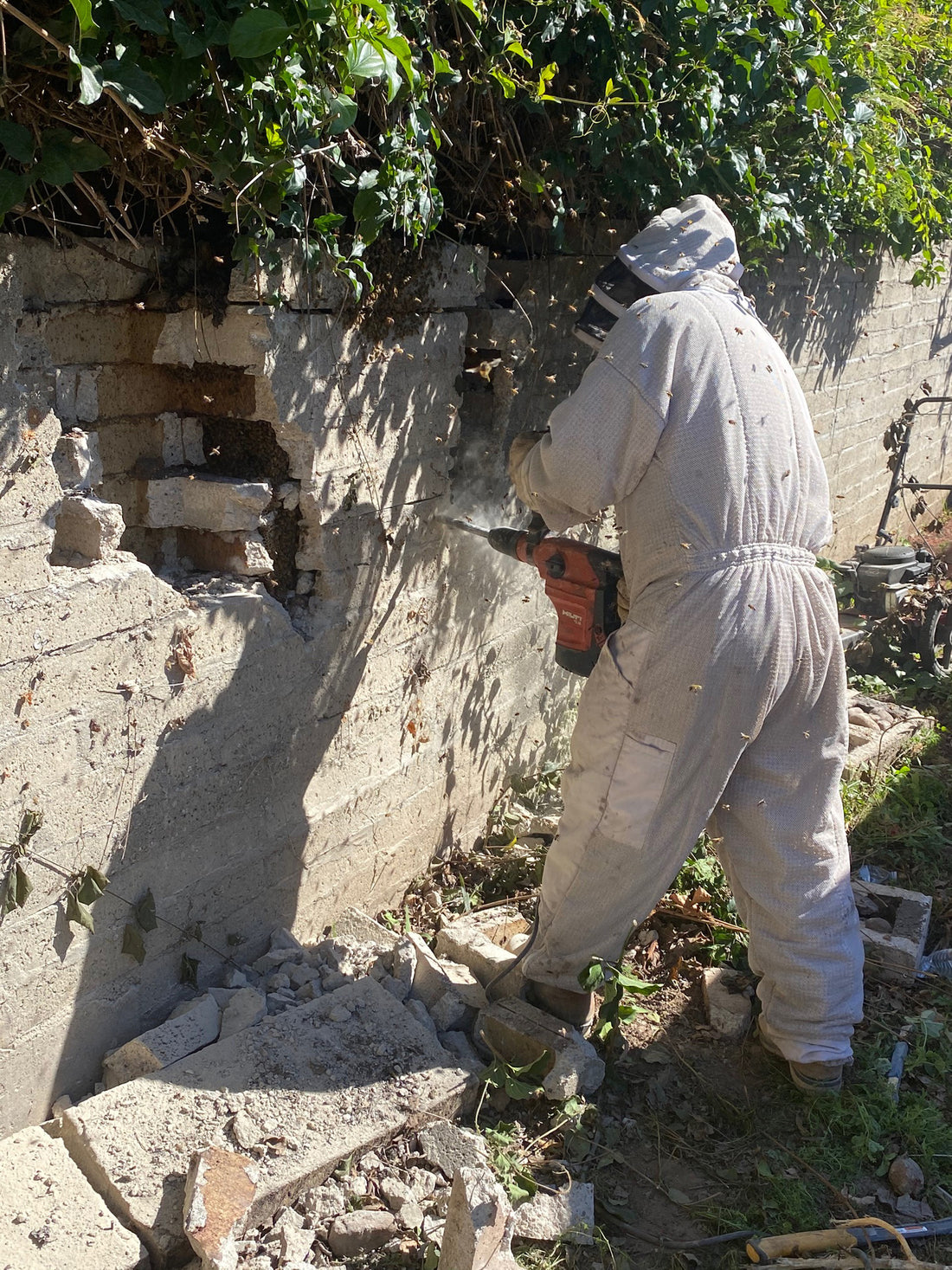 Bee removal "cut out" from a cinder block wall in Santa Barbara by Santa Barbara Hives.
