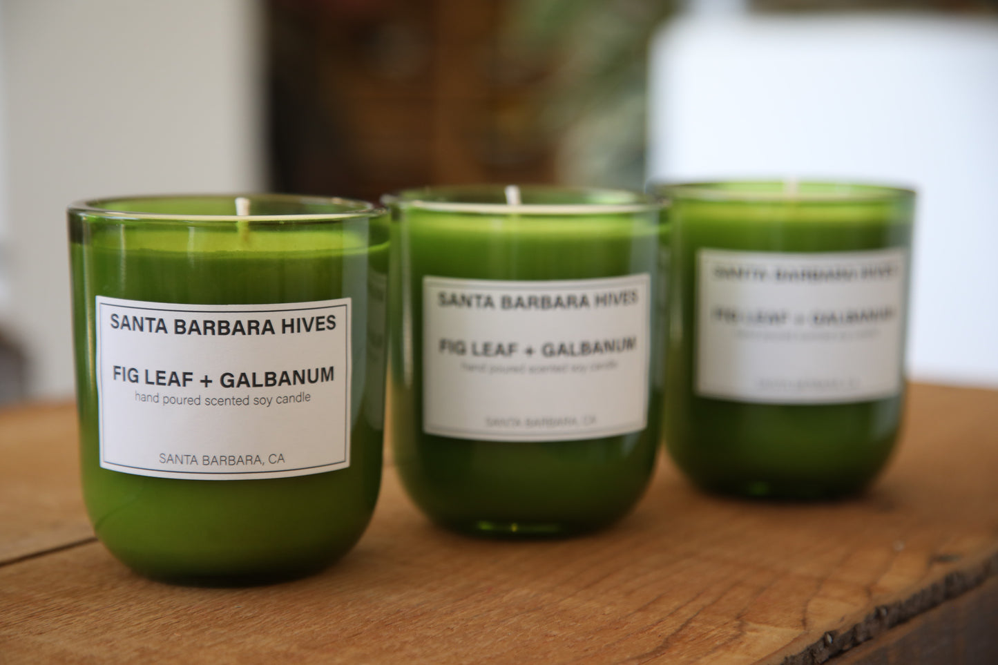 Fig Leaf + Galbanum Scented Soy Candle