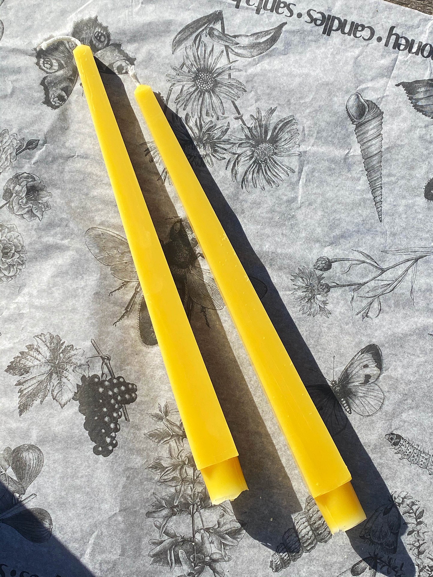 Obelisk Beeswax Taper Candles
