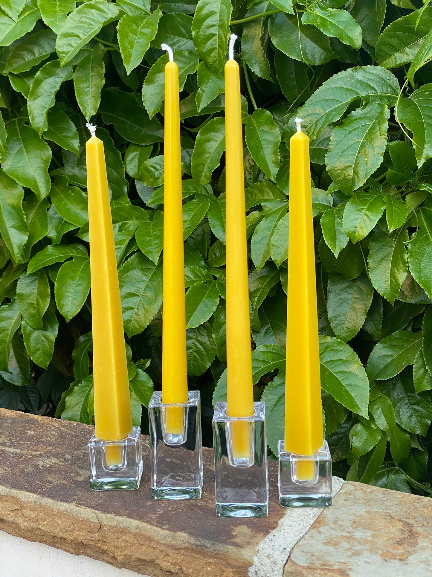 Obelisk Beeswax Taper Candles